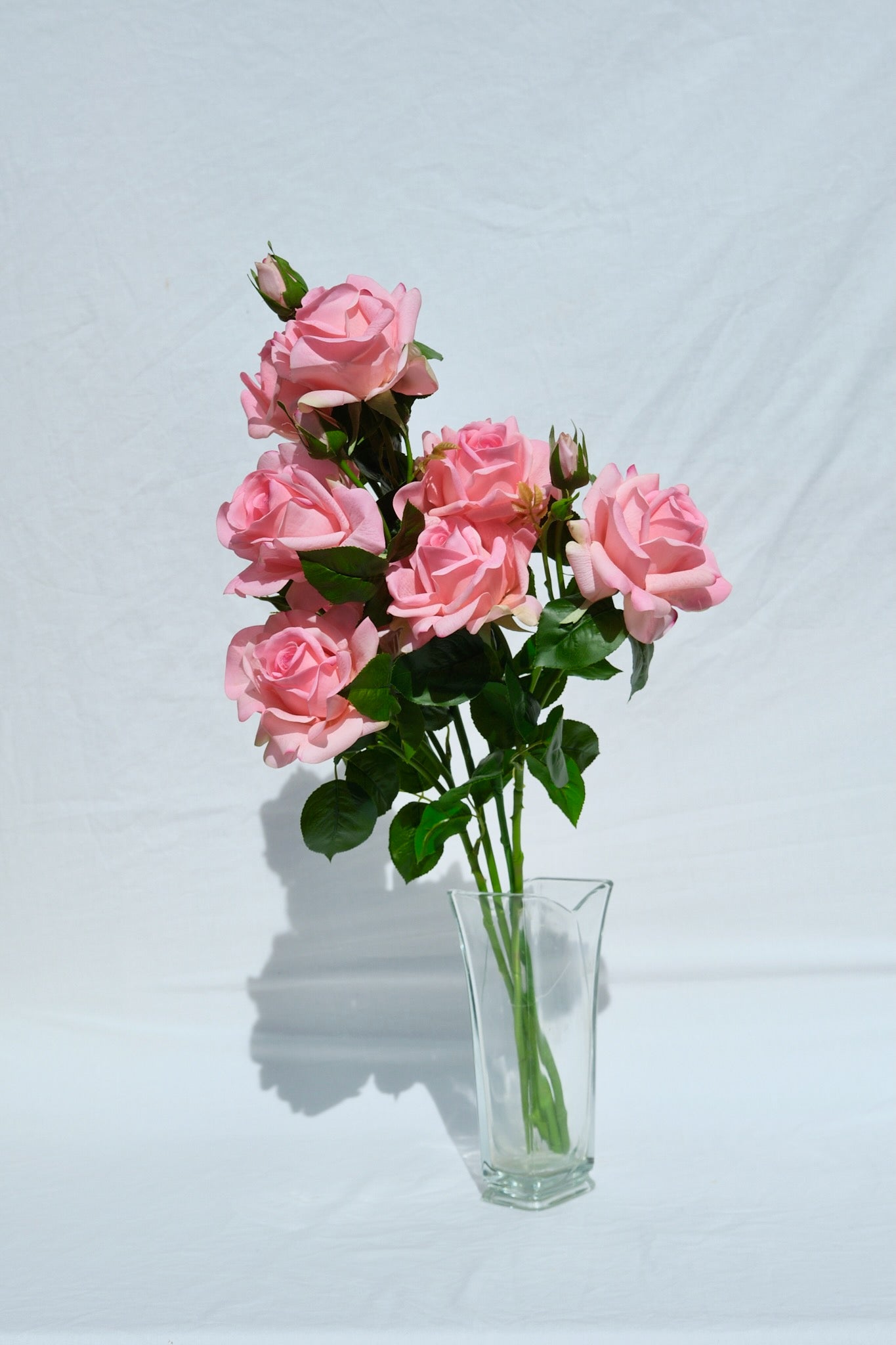 The Pink Roses
